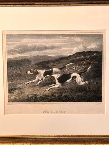 Engraving in Colors Philip Reinagle (1749-1833) British Fox Hounds 5.75" x 7.75"