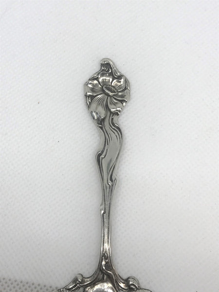 Bon Bon Scoop. Shiebler Co. Pierced Sterling Silver. Fiorito Clematis. 1903